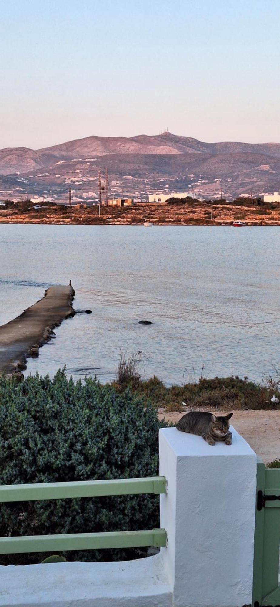 Mike'Splace Antiparos Town Exteriör bild